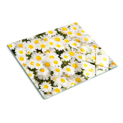 Glasschneidebrett Gänseblümchen auf weißem Hintergrund