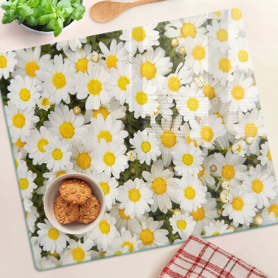 Glasschneidebrett Gänseblümchen auf weißem Hintergrund