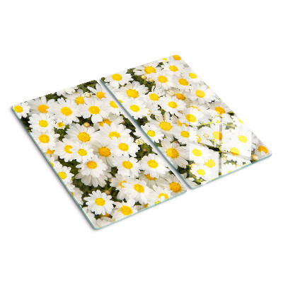 Glasschneidebrett Gänseblümchen auf weißem Hintergrund
