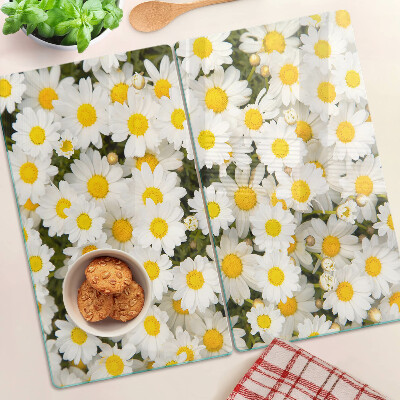 Glasschneidebrett Gänseblümchen auf weißem Hintergrund