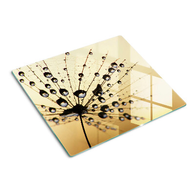 Glasschneidebrett Wassertropfen auf einem Spinnennetz