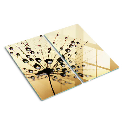 Glasschneidebrett Wassertropfen auf einem Spinnennetz