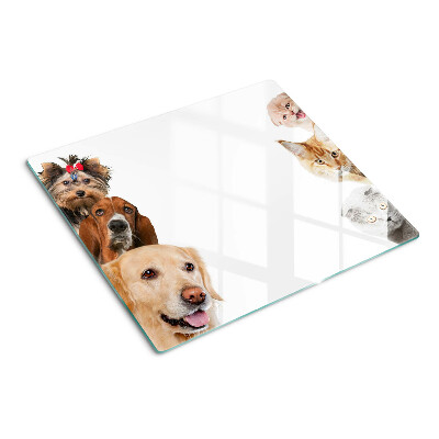 Schneidebrett glas Hunde und Katzen in verschiedenen Posen