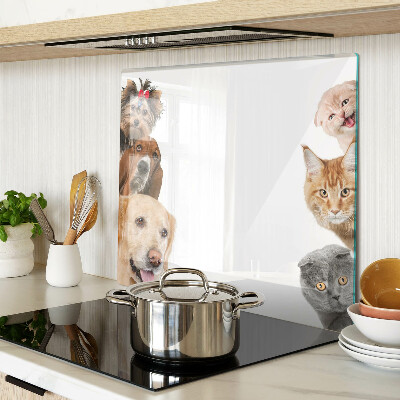 Schneidebrett glas Hunde und Katzen in verschiedenen Posen