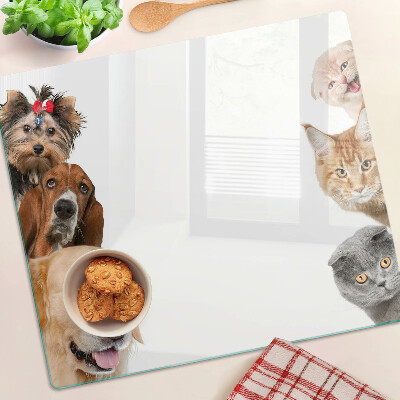 Schneidebrett glas Hunde und Katzen in verschiedenen Posen