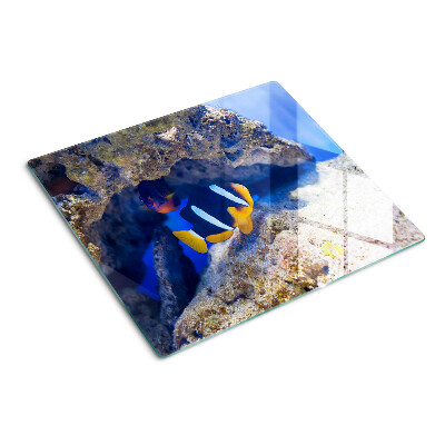 Glasschneidebrett Fische in einem Korallenriff