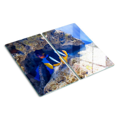 Glasschneidebrett Fische in einem Korallenriff