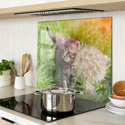 Schneidebrett glas Katze auf dem Gras