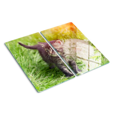Schneidebrett glas Katze auf dem Gras