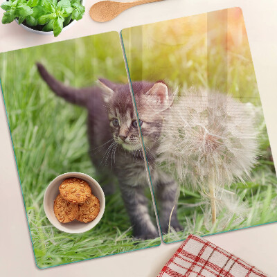 Schneidebrett glas Katze auf dem Gras