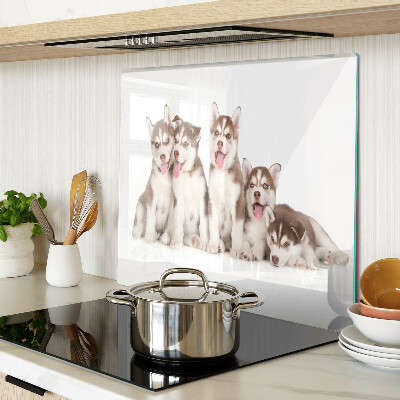 Glasschneidebrett Husky-Welpen