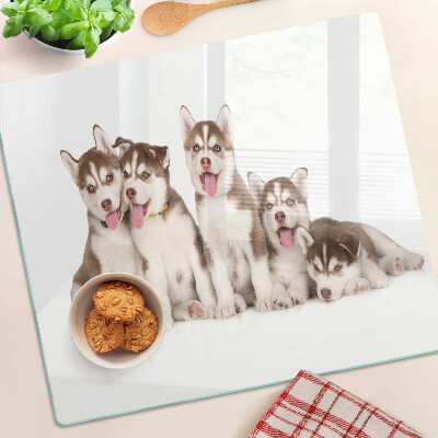 Glasschneidebrett Husky-Welpen