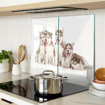 Glasschneidebrett Husky-Welpen