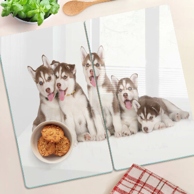 Glasschneidebrett Husky-Welpen