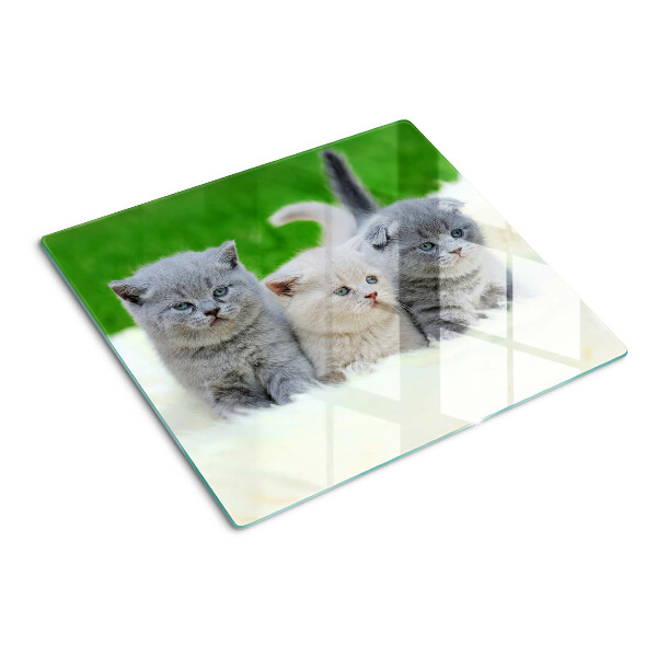 Glasschneidebrett Kätzchen auf grünem Hintergrund