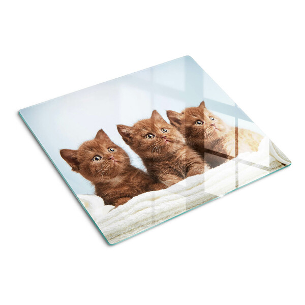 Glasschneidebrett Drei braune Katzen