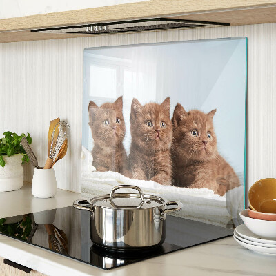 Glasschneidebrett Drei braune Katzen