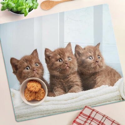 Glasschneidebrett Drei braune Katzen