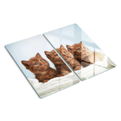 Glasschneidebrett Drei braune Katzen