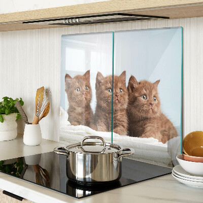 Glasschneidebrett Drei braune Katzen
