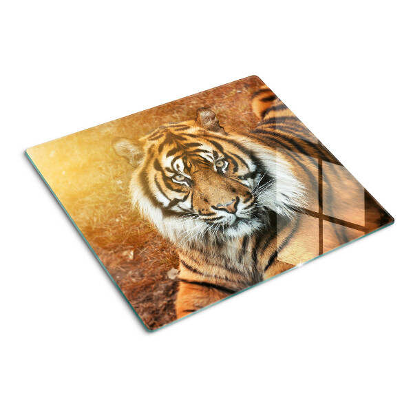 Schneidebrett glas Tiger in der Sonne