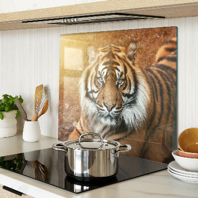 Schneidebrett glas Tiger in der Sonne