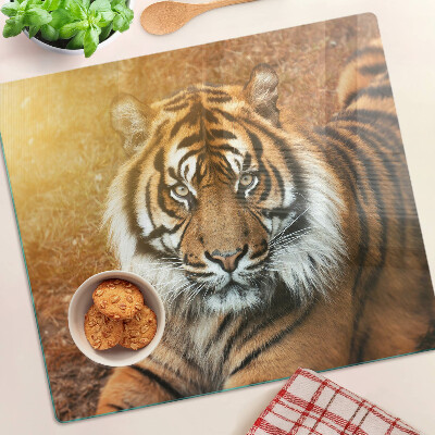 Schneidebrett glas Tiger in der Sonne