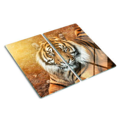 Schneidebrett glas Tiger in der Sonne