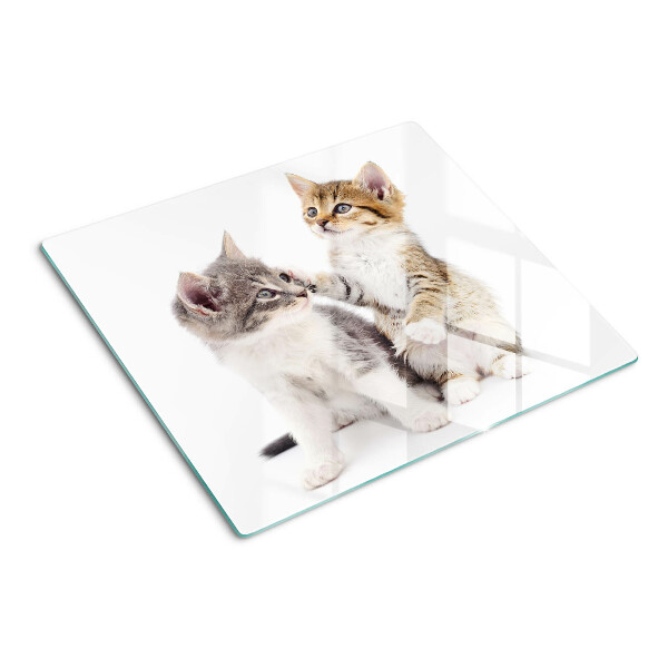 Schneidebrett glas Katzen auf weißem Hintergrund
