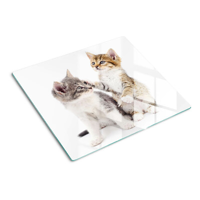 Schneidebrett glas Katzen auf weißem Hintergrund