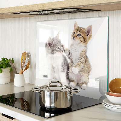 Schneidebrett glas Katzen auf weißem Hintergrund