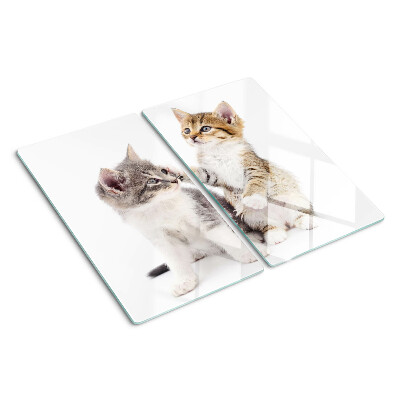 Schneidebrett glas Katzen auf weißem Hintergrund