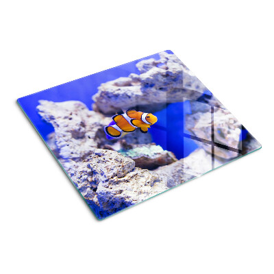 Schneidebrett glas Clownfische zwischen den Felsen