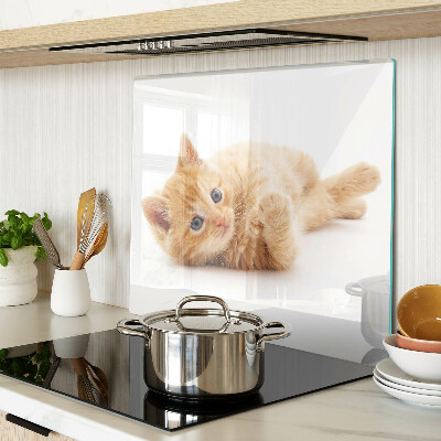 Glasschneidebrett Ingwer Kätzchen auf weißem Hintergrund