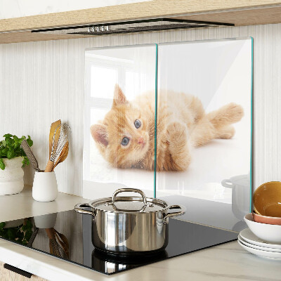 Glasschneidebrett Ingwer Kätzchen auf weißem Hintergrund