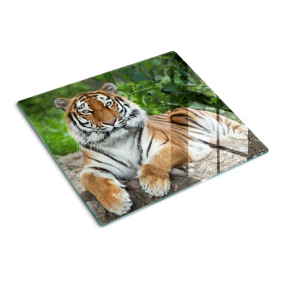 Schneidebrett glas Tiger in seinem natürlichen Lebensraum