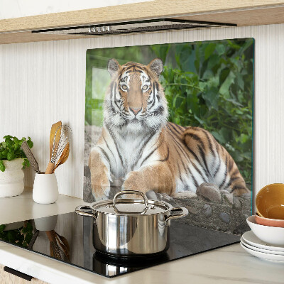 Schneidebrett glas Tiger in seinem natürlichen Lebensraum