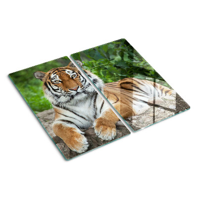 Schneidebrett glas Tiger in seinem natürlichen Lebensraum