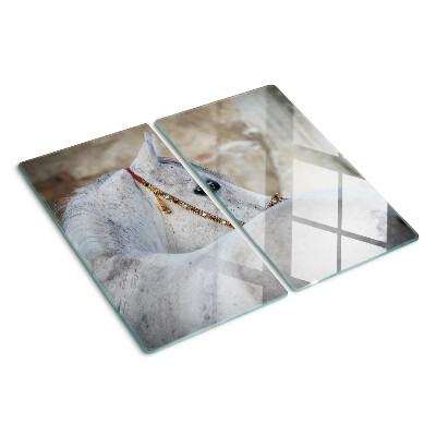 Schneidebrett glas Weißes junges Pferd