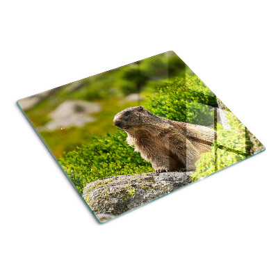 Schneidebrett glas Murmeltier auf einem Hintergrund aus grünem Gras