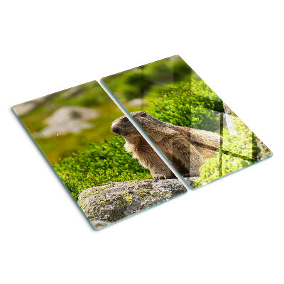 Schneidebrett glas Murmeltier auf einem Hintergrund aus grünem Gras