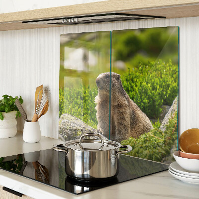 Schneidebrett glas Murmeltier auf einem Hintergrund aus grünem Gras