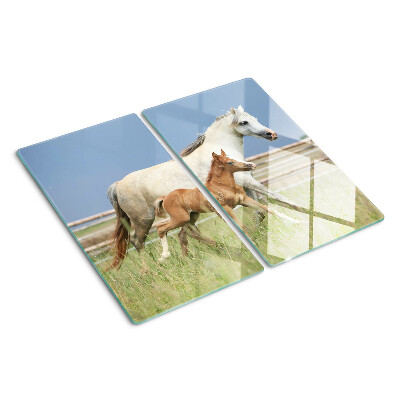 Glasschneidebrett Ein Pferd mit einem Fohlen auf einer Wiese