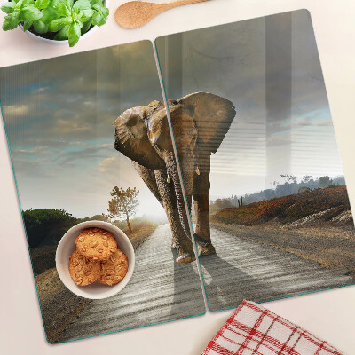 Glasschneidebrett Elefant auf der Straße bei Sonnenuntergang