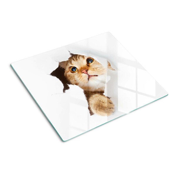 Glasschneidebrett Eine Katze schaut durch ein Loch in der Wand