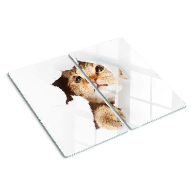 Glasschneidebrett Eine Katze schaut durch ein Loch in der Wand