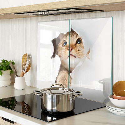 Glasschneidebrett Eine Katze schaut durch ein Loch in der Wand