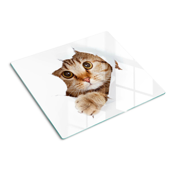 Schneidebrett glas Eine Katze kommt aus einem Loch
