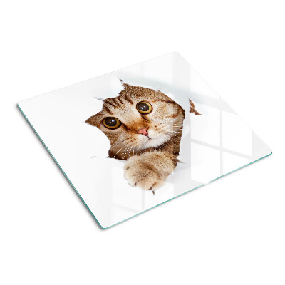 Schneidebrett glas Eine Katze kommt aus einem Loch