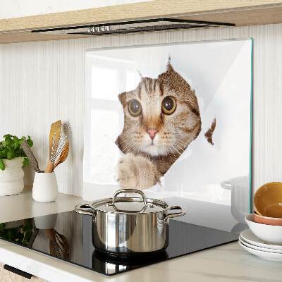 Schneidebrett glas Eine Katze kommt aus einem Loch